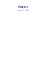 Page 5: Report page 6